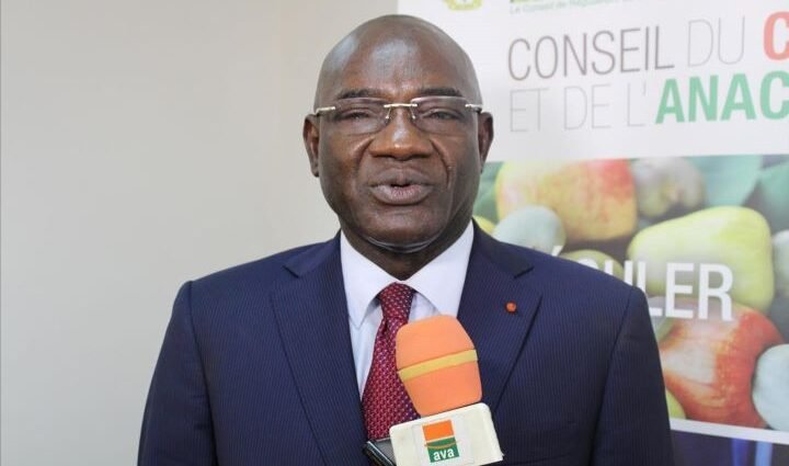 Adama Coulibaly DG du Conseil coton anacarde