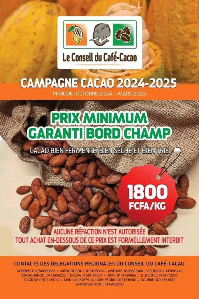 photo cacao 1 1